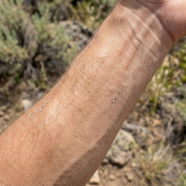 a healthy, hydrated forearm skin showing subtle mineral dust from an exposed environment